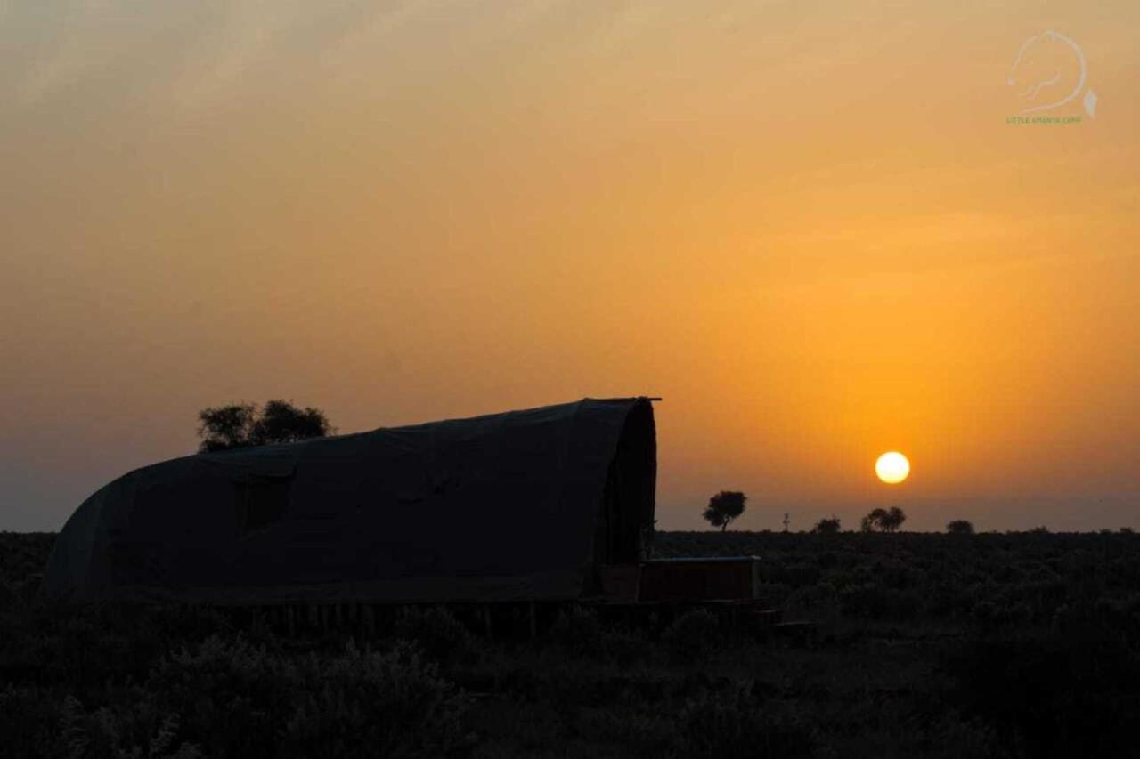 Amanya 1 -Bed King Lion Tent Amboseli Esterno foto
