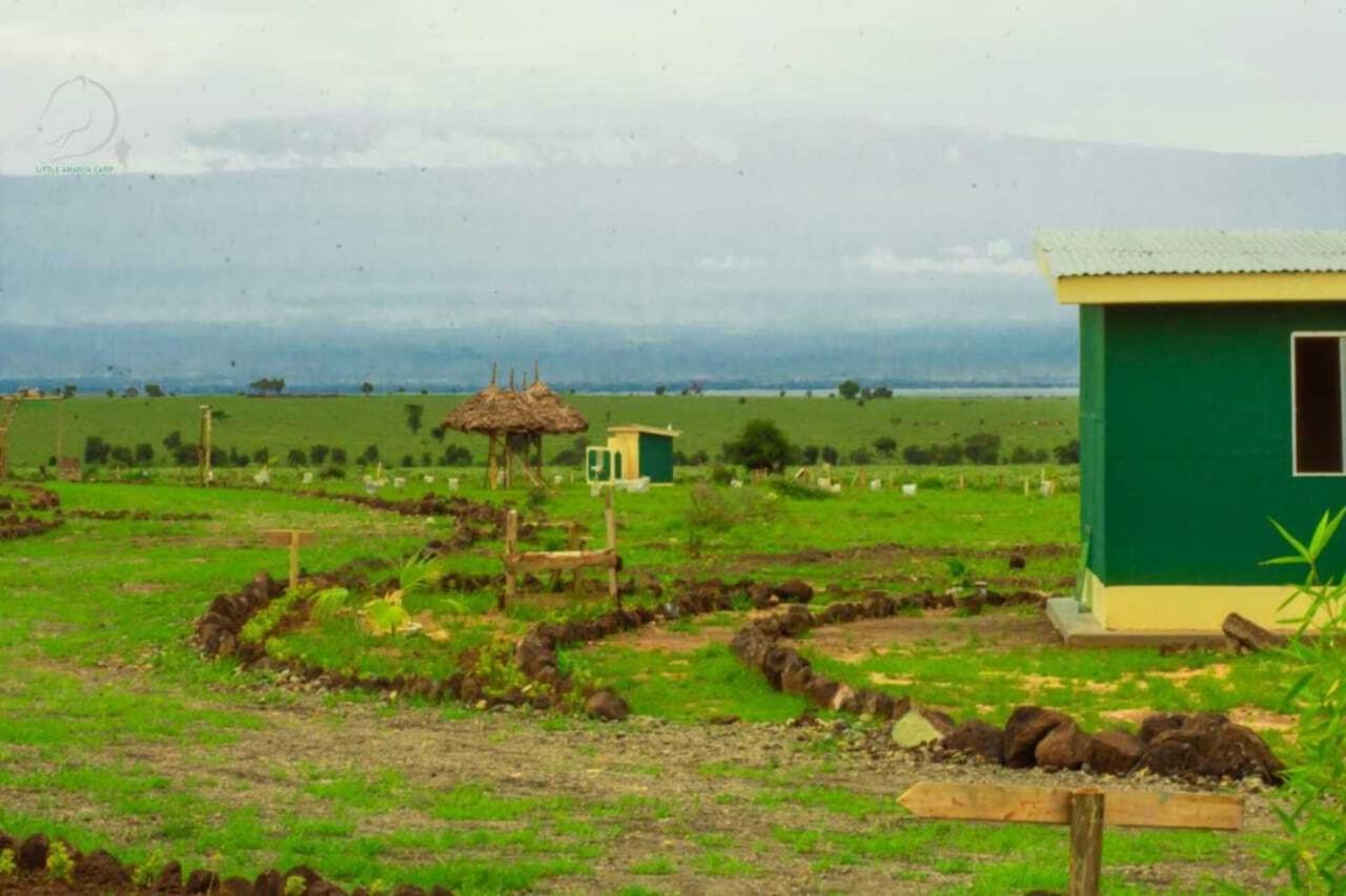Amanya 1 -Bed King Lion Tent Amboseli Esterno foto
