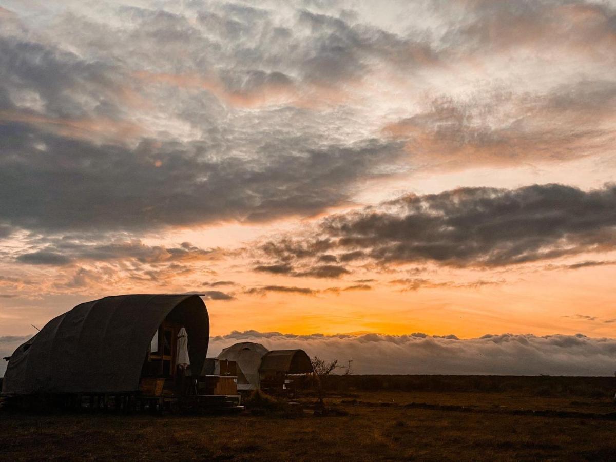 Amanya 1 -Bed King Lion Tent Amboseli Esterno foto